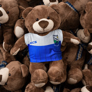 Bunbrosna GAA Club Teddy Bear