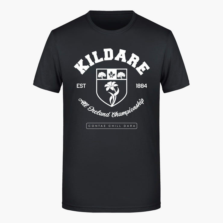 Kildare County T-Shirt